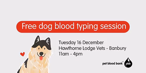 Free dog blood typing session
