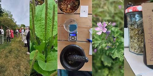 Workshop Kruidenzalven maken