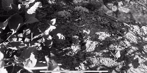 \u00c0 L'AFFICHE : GESPEG