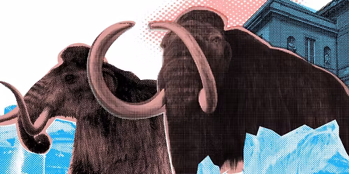 Le mammouth, fascinant g\u00e9ant laineux