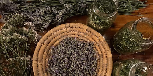 Herbalism & Natural Skincare for Teens