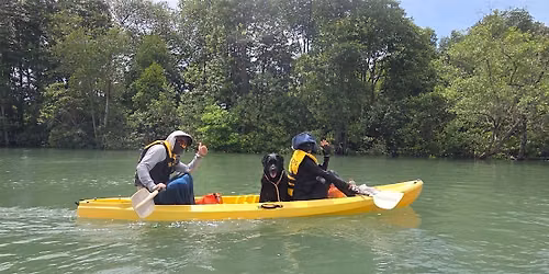 Singapore Private Kayaking Tour(Kids & Pets Friendly)