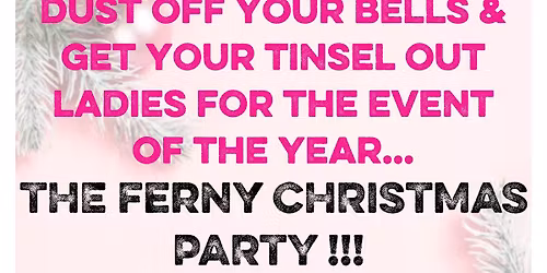 Ferny Darwin Christmas Party