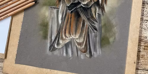 Red Kite Pastel Workshop