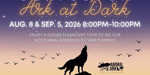 Ark at Dark at Animal Ark