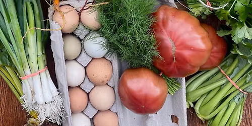 3rd Annual Harvest Fest