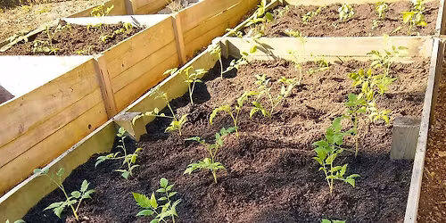 Community Edible Gardening Event