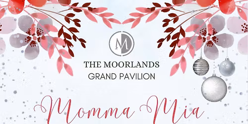 Momma Mia Festive Party 