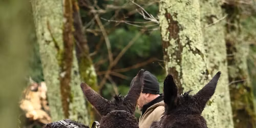 F\u00eate de l\u2019\u00e2ne 