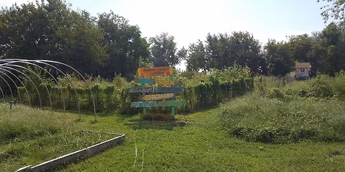 Urban Veggie Gardening 101