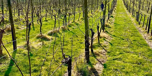 Chiltern Wine Safari - December 2025