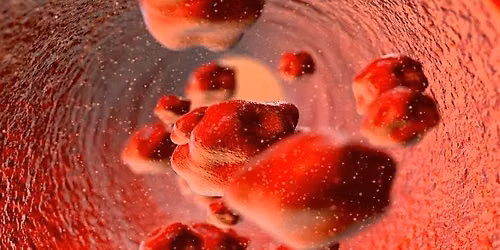 HeartSaver Bloodborne Pathogens -  Full Course