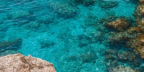 SUNNY Cyprus Diving and snorkelling\n( expressions of interest at mo)