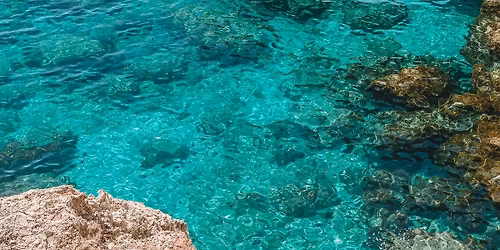 SUNNY Cyprus Diving and snorkelling\n( expressions of interest at mo)