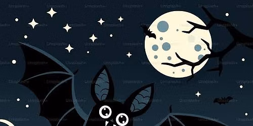Creepy Creature Feature: Bat Hike!