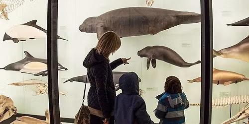 SENDsational Morning: Autumn