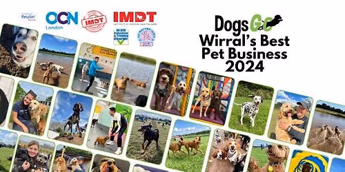 \ud83d\udc9a Small & Medium Sized Dog Playtime