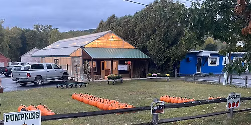 Holiday Vendor Market!