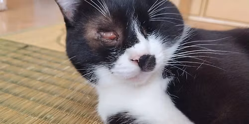 \u30aa\u30f3\u30ea\u30fc\u306b\u3083\u3093\u305a\u5199\u771f\u5c55