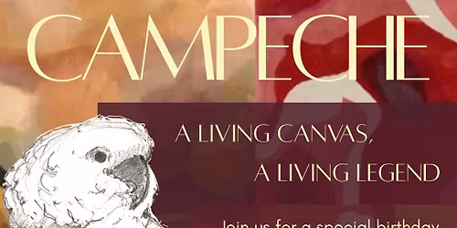 Campeche Turns 29! A Living Canvas, A Living Legend