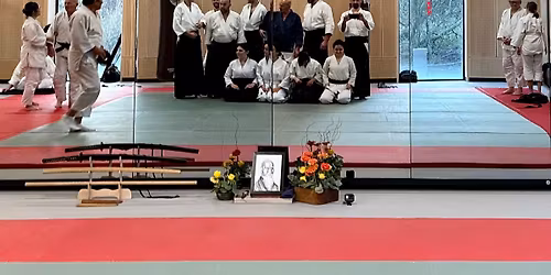 Nebi Vural Sensei Aikido Seminar, Amsterdam, May 30-31, 2026