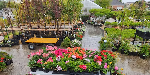 Annual Planting Party\ud83c\udf37\ud83c\udf38\ud83c\udf3f