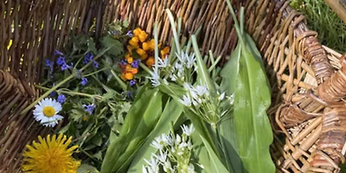 Forage and Cookery Course