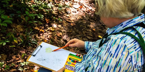 All Ages Nature Journaling at Overton Park