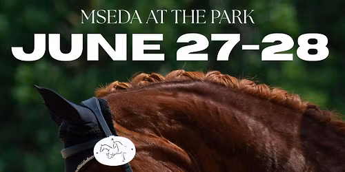 MSEDA at the Park