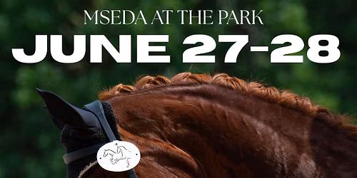 MSEDA at the Park