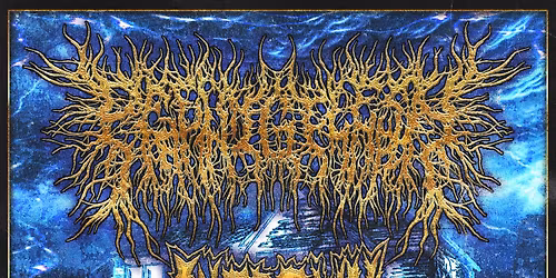 PeelingFlesh at The Regency Live (Springfield, MO)