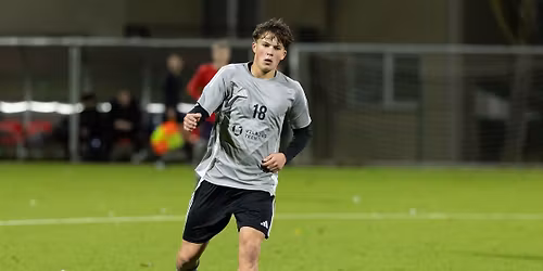 LSFL. VILNIUS TECH - VDU