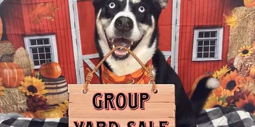 Huge Yard Sale at Kitty’s Critter Care!