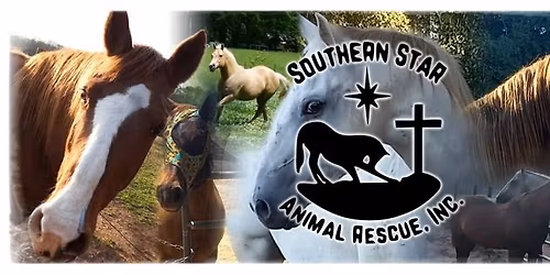 2nd Annual Open House\/ BBQ Fundraiser Event