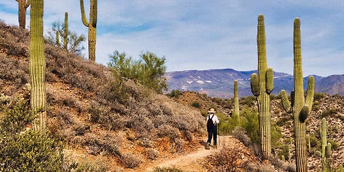 STATE FARM STADIUM TOURS - 12\/17\/2025