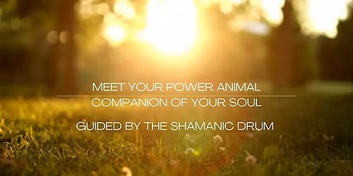 Meet your Power Animal