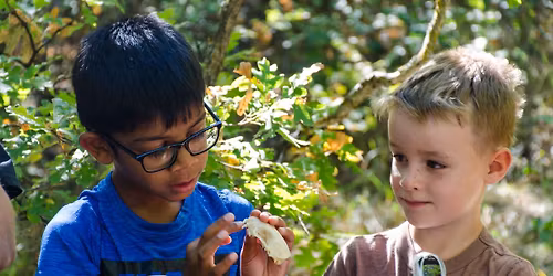 Nature's Classroom- Homeschool Field Trips