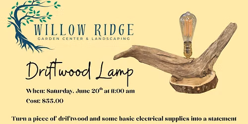Driftwood Lamp Workshop