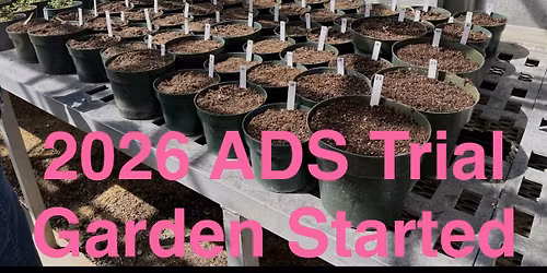 Planting ADS Trial Garden 