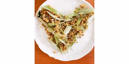 Herbs for the mind and heart