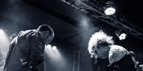 The Cureheads + Siouxsie and the Budgiees