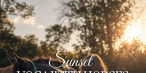 Sunset Yoga with Horses