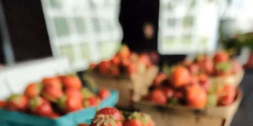 Farmer's Market Friday