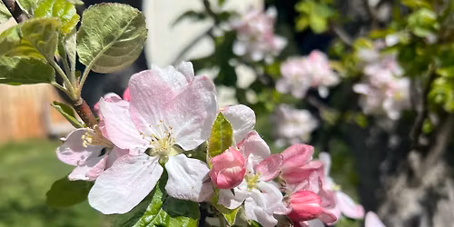 Sunday Service with Barbara Dixon Grant 