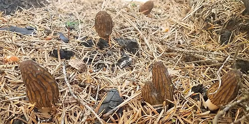 March General Meeting with Tom Bruns