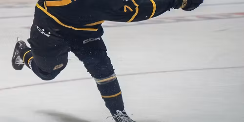 Brandon Wheat Kings at Regina Pats at Brandt Centre