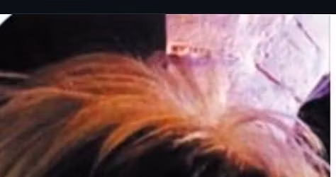 Cabaret with Wilma Fingadoo