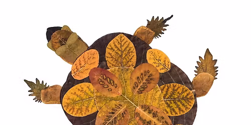 Leaf Collage Class: Art & Design from Nature