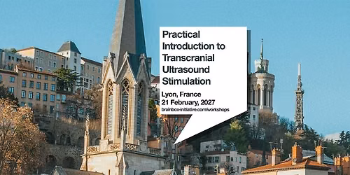Practical Introduction to Transcranial Ultrasound Stimulation | Lyon