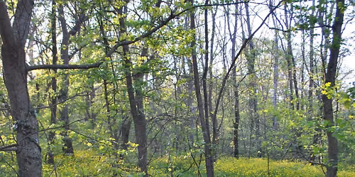 Ladies' Day Out(side): Old Stone Fort Hike